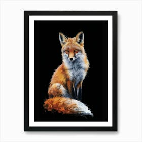 Fox Black background Art Print