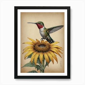 Hummingbird On Sunflower Art Print