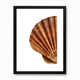 Colored seashells. Seashells. Summer. 12 Art Print