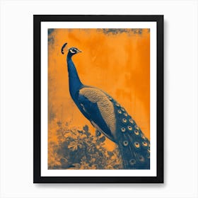 Orange & Blue Vintage Peacock In The Wild 3 Art Print