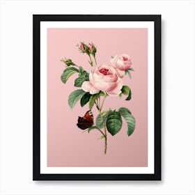 Vintage Provence Rose Botanical on Soft Pink n.0463 Art Print