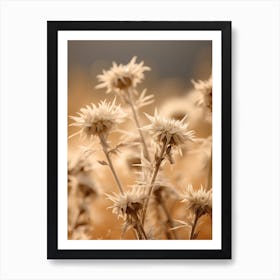 Boho Dried Flowers Bee Balm 1 Art Print