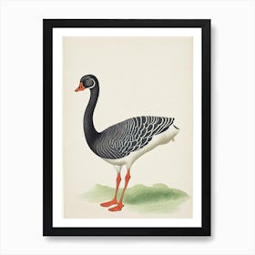 Goose Illustration Bird Art Print