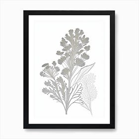 Coriander Herb William Morris Inspired Line Drawing 2 Art Print