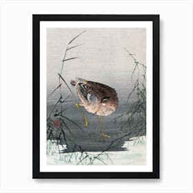 Ashi Ni Shigi, Ohara Koson Art Print