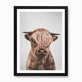 Highland Calf Art Print