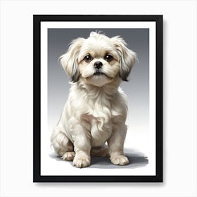 Shih Tzu Art Print