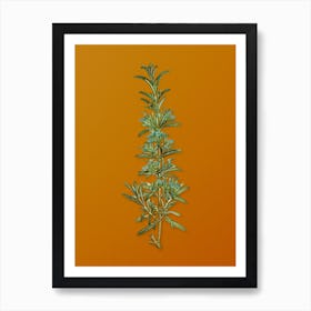 Vintage Rosemary Botanical on Sunset Orange n.0238 Art Print