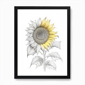 Sunflower Floral Quentin Blake Inspired Illustration 5 Flower Art Print