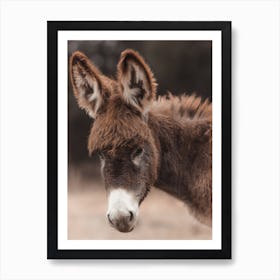 Baby Donkey Art Print