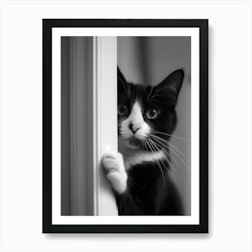 Black And White Cat 1 Art Print