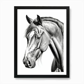 Highly Detailed Pencil Sketch Portrait of Horse with Soulful Eyes 3 Art Print