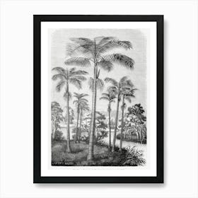 Vintage Palm Tree Art Print _2643184 Art Print