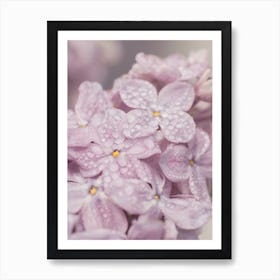 Lilac Love - Soft Purple-y Pastel-y-So Lovely Flowers Art Print