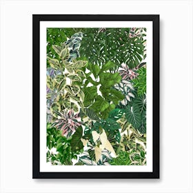 House Plants Jungle 2 Art Print