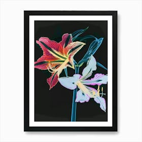 Neon Flowers On Black Amaryllis 3 Art Print