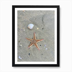 Starfish On The Beach 1 Art Print