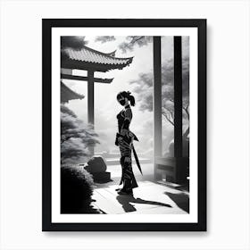 Shadow Of A Woman Ninja In A Japanese Temple Art Print