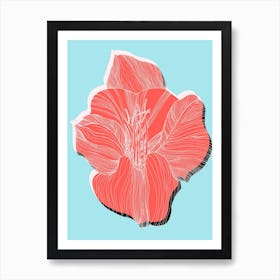 Amaryllis 2 Poster