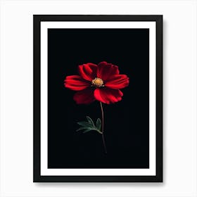 Red Cosmos Flower Art Print