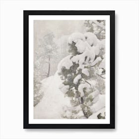 Winter Pine Trees Wall Art Print Art Print