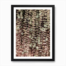 Hanging Garden Art Print