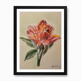 Red Rose Art Print