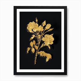 Vintage White Rose Botanical in Gold on Black n.0343 Art Print