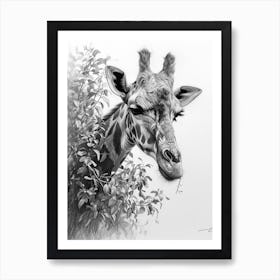 Pencil Portrait Of A Giraffe In The Trees 3 Art Print