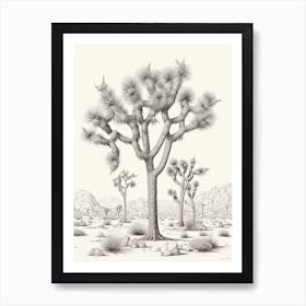  Detailed Drawing Of A Joshua Trees At Dusk In Desert 2 Art Print