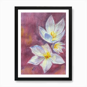 Img 5884 White crocuses, watercolor Poster