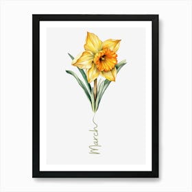 March Birth Flower Birth Month Botanical Art Print