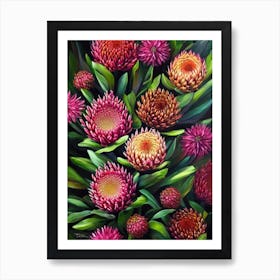 Proteas  Flower Art Print