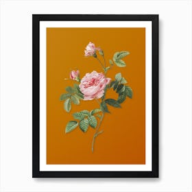Vintage Pink Rose Turbine Botanical on Sunset Orange n.0309 Art Print