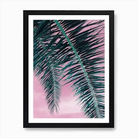 Date palm leaves and pink sky Art Print
