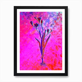 Ixia Bulbifera Botanical in Acid Neon Pink Green and Blue n.0081 Art Print