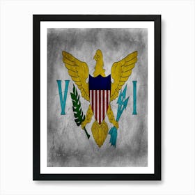 Virgin Islands Us Flag Texture Art Print