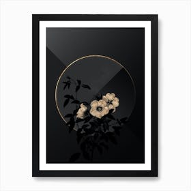 Shadowy Vintage White Rose of Snow Botanical in Black and Gold Art Print