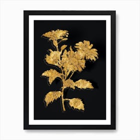 Vintage Red Aster Flowers Botanical in Gold on Black n.0563 Art Print