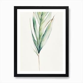 Yucca Leaf Minimalist Watercolour 4 Art Print