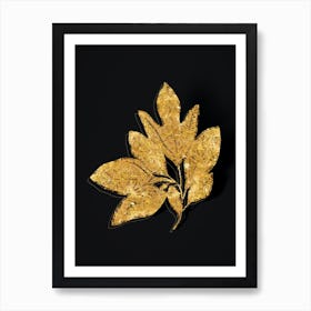Vintage Bay Laurel Branch Botanical in Gold on Black n.0019 Art Print