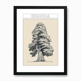 Sequoia Tree Minimalistic Drawing 4 Poster Art Print