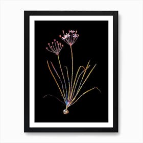 Stained Glass Allium Straitum Mosaic Botanical Illustration on Black n.0100 Art Print