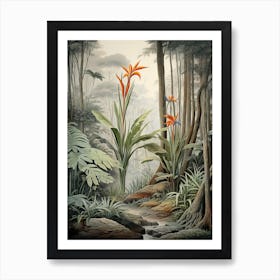 Vintage Jungle Botanical Illustration Bird Of Paradise 1 Art Print