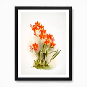 Orange Orchids Vintage 19th Century Plants Painting Art Print