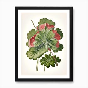 Wild Geranium Wildflower Vintage Botanical 1 Art Print