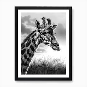 Giraffe In The Grass Pencil Drawing 11 Art Print