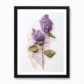 Pressed Flower Botanical Art Lilac 2 Art Print