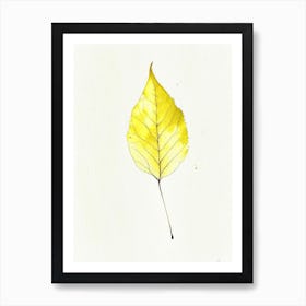 Yellow Birch Leaf Minimalist Watercolour 1 Art Print