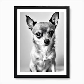 Chihuahua B&W Pencil Dog Art Print